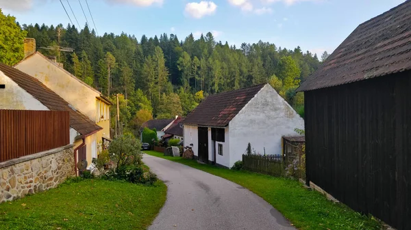 Komarice Tjeckien Oktober 2021 Asfalterad Väg Som Går Ner Skogen — Stockfoto