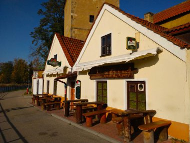 Ceske Budejovice, Çek Cumhuriyeti - 30 Ekim 2021: Güneşli bir günde açık deniz kıyısında küçük bir köpek yavrusu.