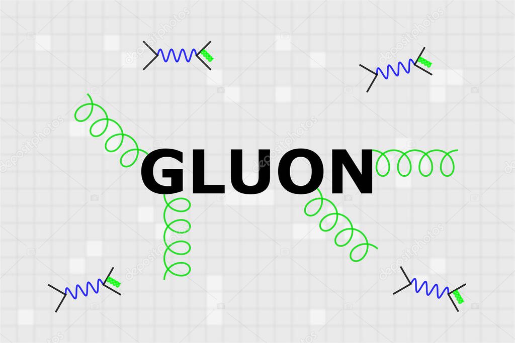 Name of gauge boson gluon in the center with green spirals and electron - positron anihilation feynman diagram around it.