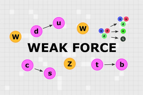 Ortasında W ve Z bozonları, nötrondan proton değişimine nötronu olan 