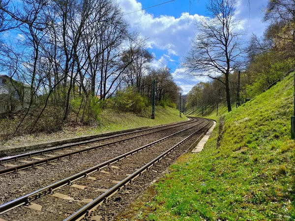 Spoorwegparen Die Door Een Bos Gaan Achtergrond Buigen — Stockfoto