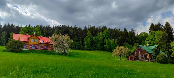 Janske Lazne Tjeckien Maj 2022 Två Fjällstugor Trä Gräsytan Med — Stockfoto