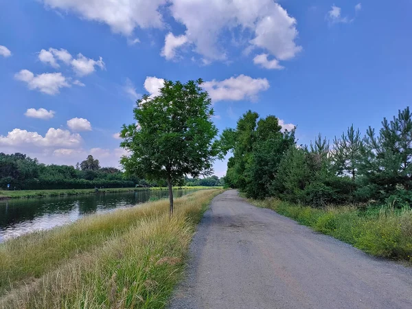 Beautiful landscape with a river, dusty road, and a cloudy sky. The road goes alongside with the river. There is a dominant tree in between. It\'s a summertime view on Czech countryside.
