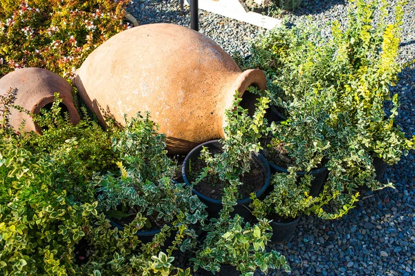 Decorative pots — Stock Photo, Image