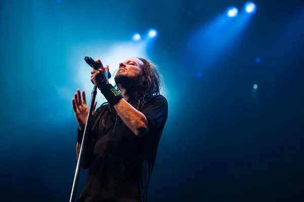 Korn konser — Stok fotoğraf