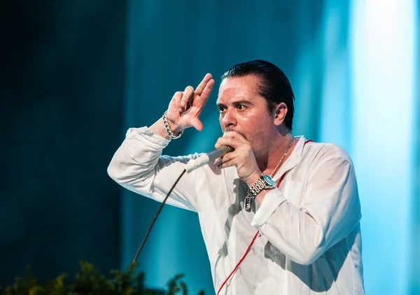 Faith no More concierto — Foto de Stock