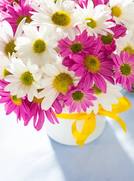 Chrysanths — Stock fotografie