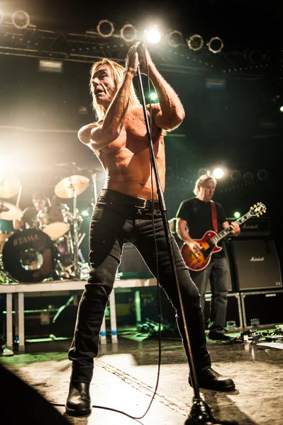 Iggy pop konseri — Stok fotoğraf