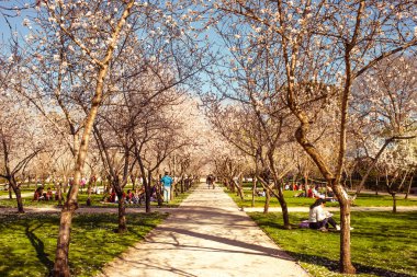 Buen Retiro