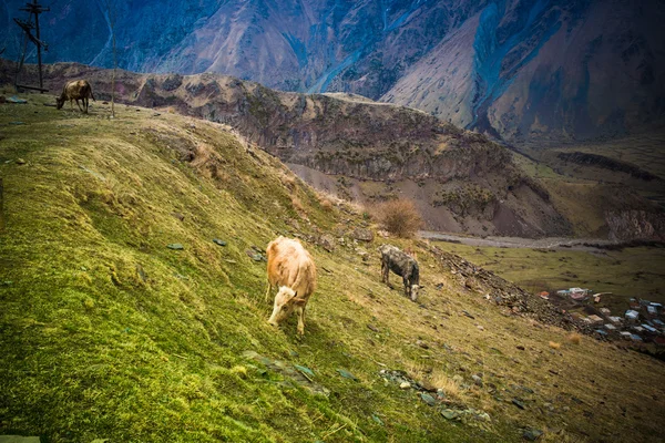 Dağlar — Stok fotoğraf