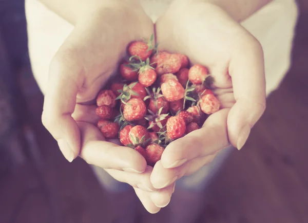 Frutilla — Foto de Stock