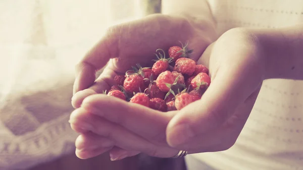 Frutilla — Foto de Stock