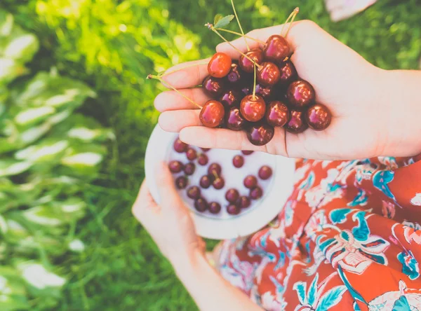 Cherry — Stock Photo, Image