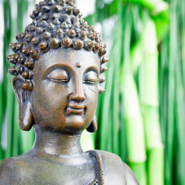 Buddha — Stockfoto