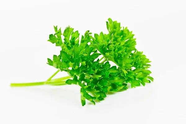 Parsley Royalty Free Stock Images