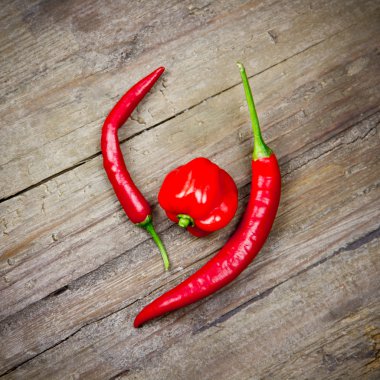 Şili biberi