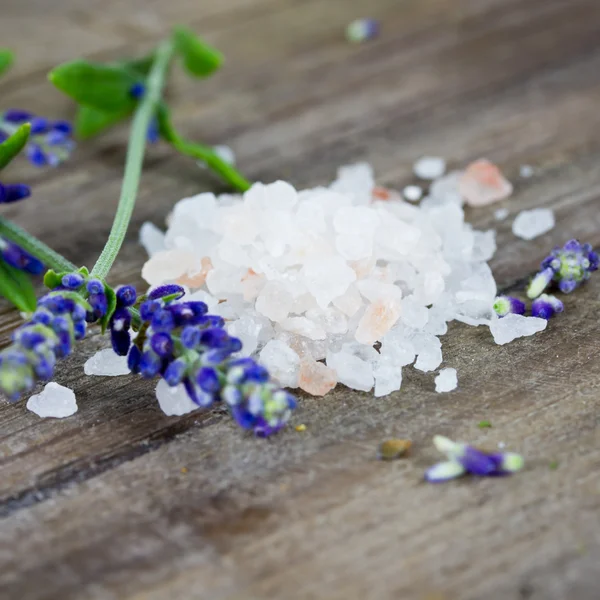 Sal y lavanda — Foto de Stock