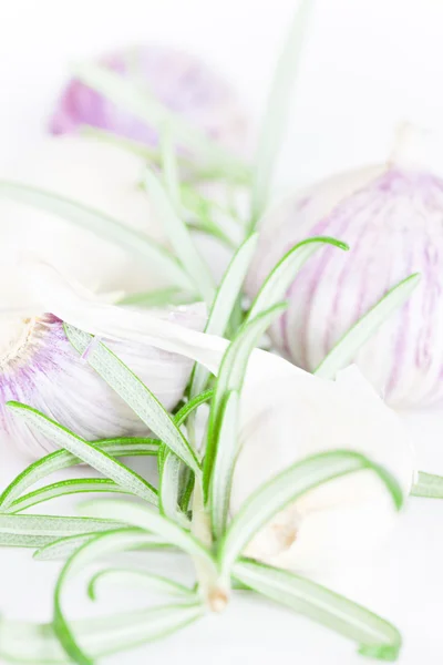 Garlic and rosemary — Stock Photo, Image