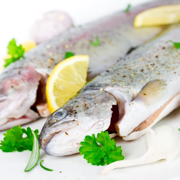 Verse forel — Stockfoto