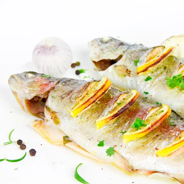 Gegrilde forel — Stockfoto