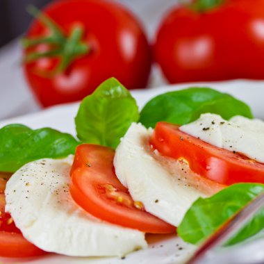 domates mozzarella peyniri