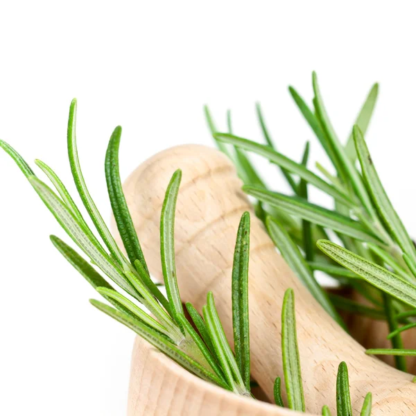 Rosemary — Stock Photo, Image