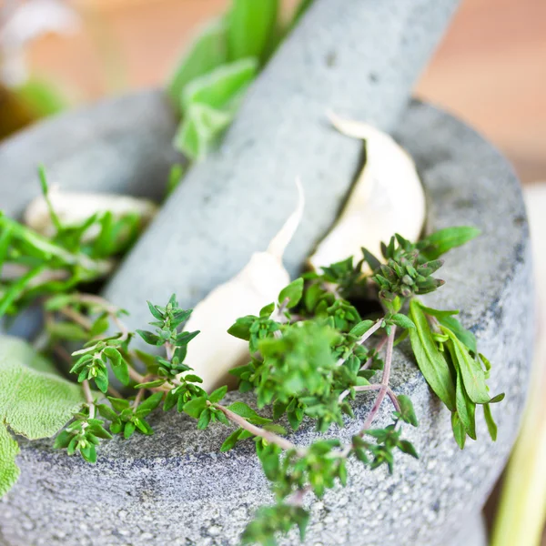 Herbs in mortar — Stock Photo, Image