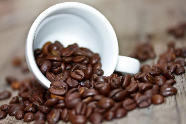 Coffee beans — Stock Photo, Image