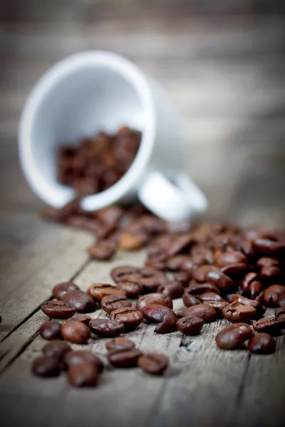 Grãos de café — Fotografia de Stock