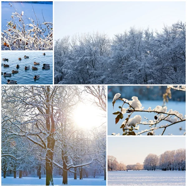 Winter — Stockfoto