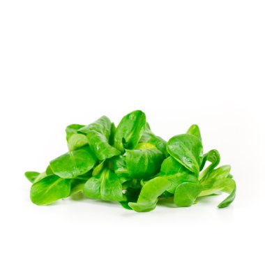 Salata izole edildi