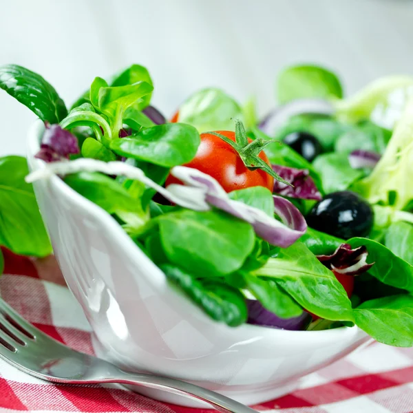 Gemischter Salat — Stockfoto