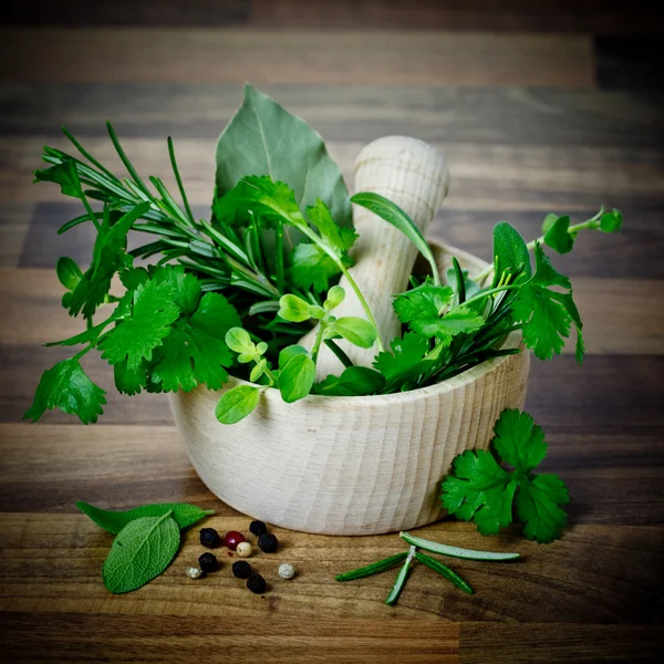 Herbs in mortar — Stock Photo, Image