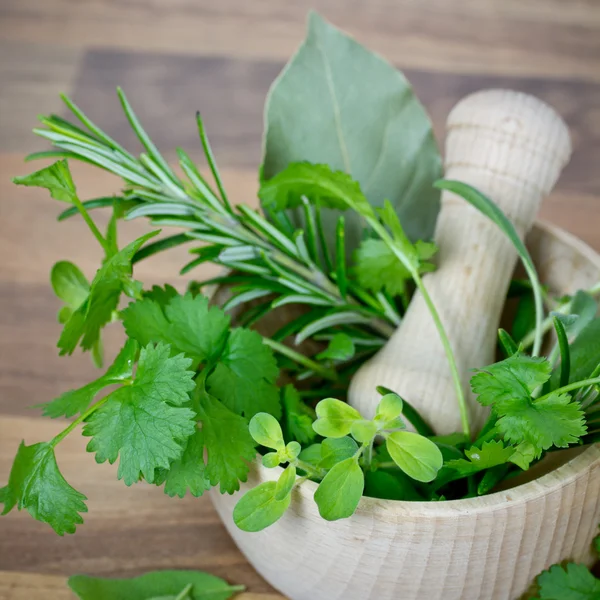 Herbs in mortar — Stock Photo, Image