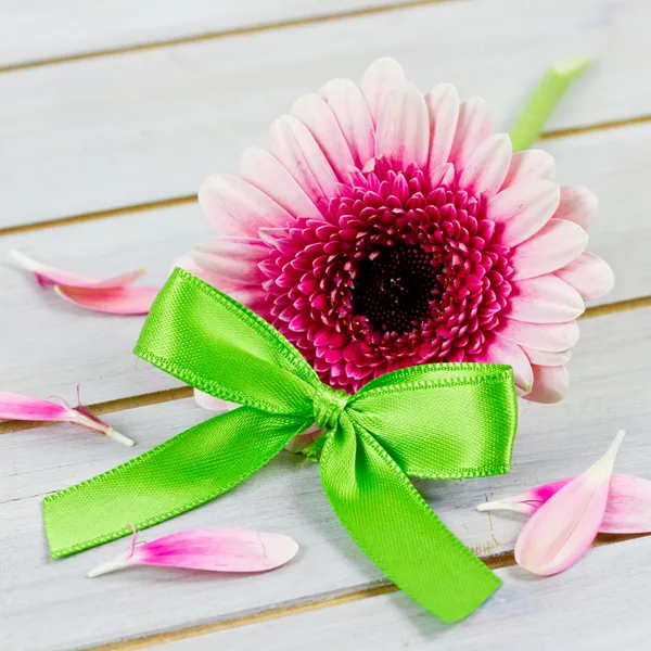 Pink flower — Stock Photo, Image