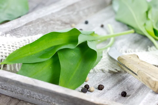 Forest garlic — Stock Photo, Image