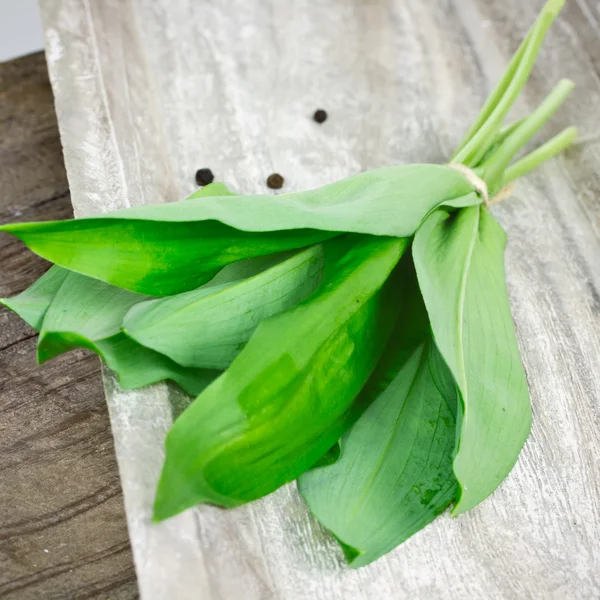 Forest garlic — Stock Photo, Image