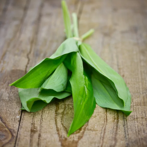 Forest garlic — Stock Photo, Image