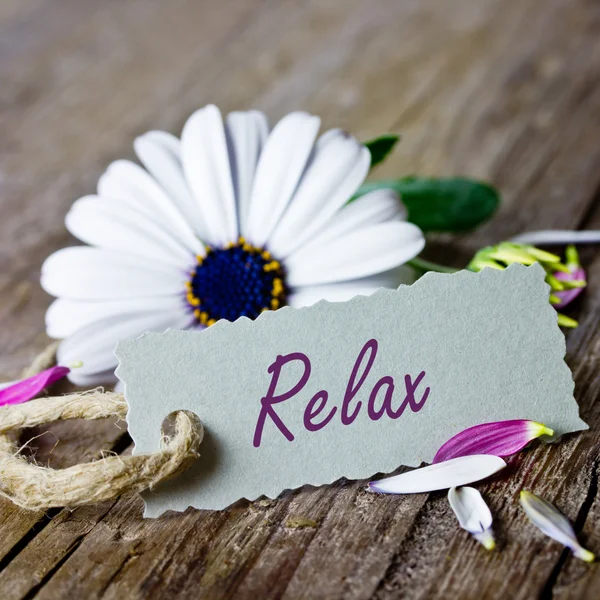 Relaxante — Fotografia de Stock