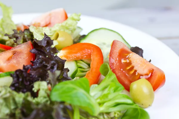 Gemengde salade — Stockfoto