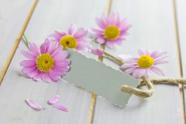 Coupon with flowers — Stock Photo, Image