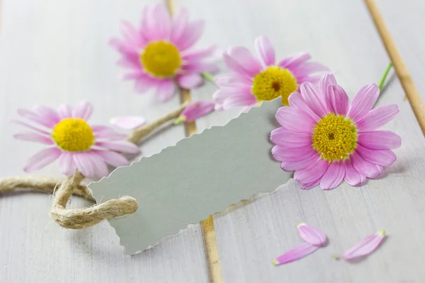 Cupón con flores — Foto de Stock