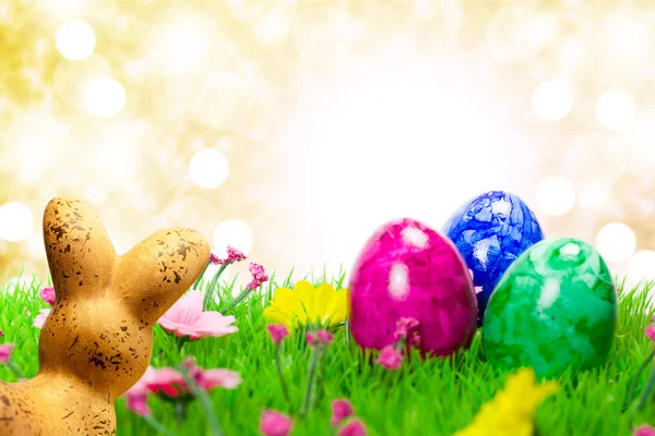 Easter bunny — Stock Photo, Image