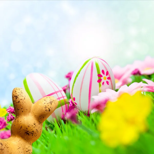 Easter bunny — Stock Photo, Image