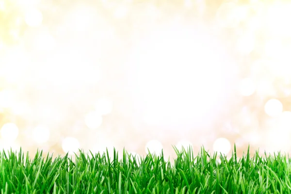 Meadow background — Stock Photo, Image