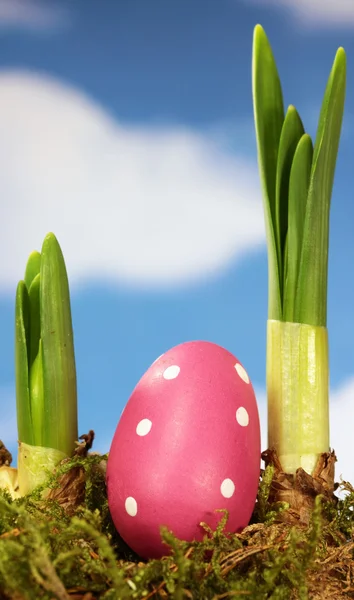 Huevos de Pascua — Foto de Stock