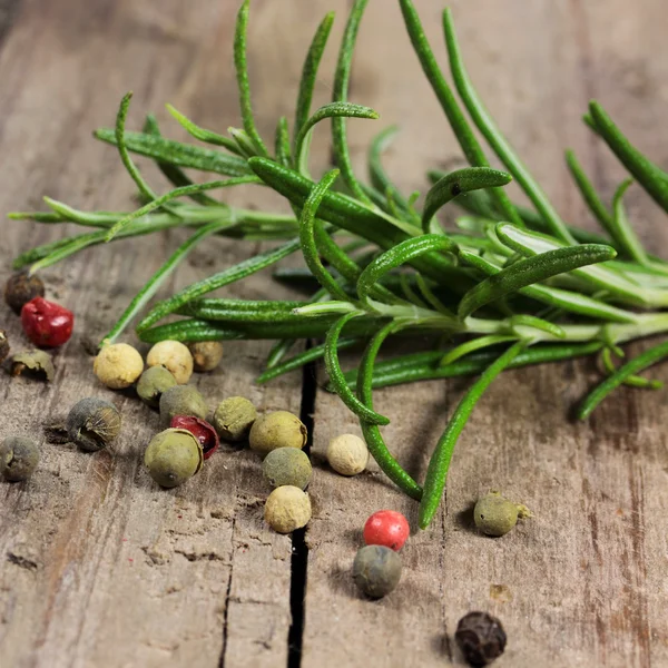 Rosemary a pepř — Stock fotografie