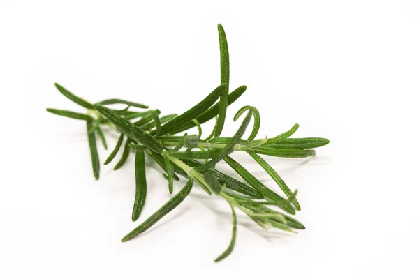 Rosemary a pepř — Stock fotografie