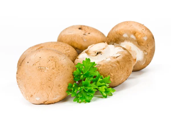 Mushrooms — Stock Photo, Image