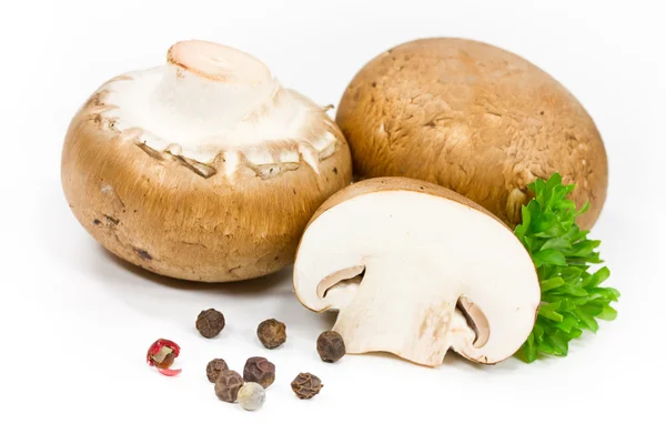 Mushrooms — Stock Photo, Image